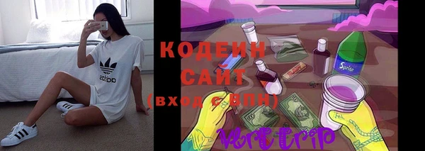 шишки Тында