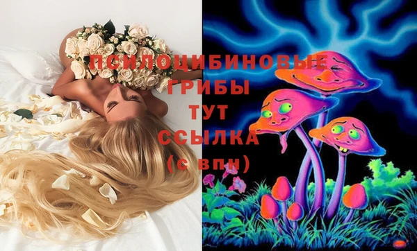 шишки Тында