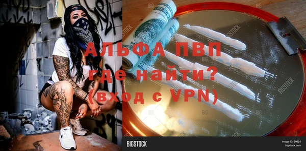 шишки Тында