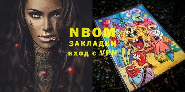 шишки Тында