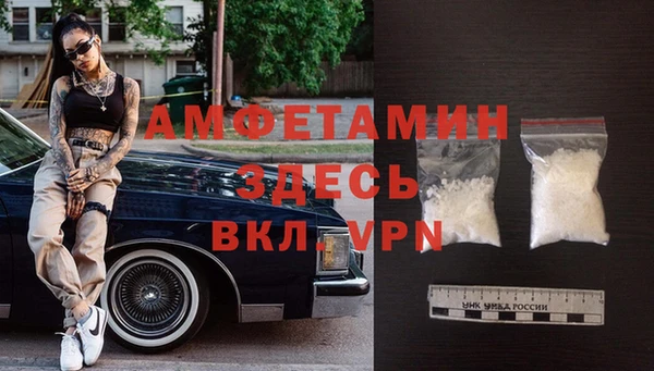 шишки Тында