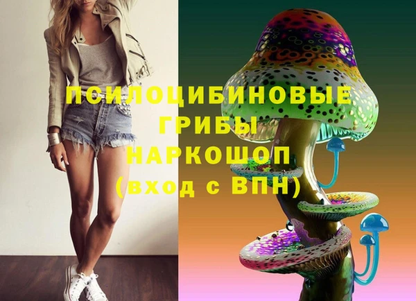 шишки Тында
