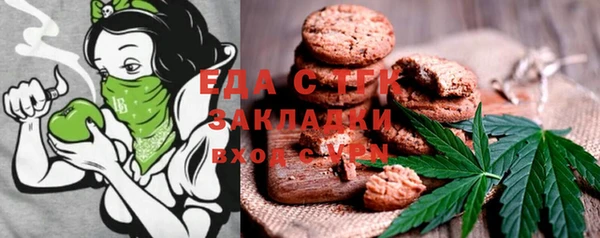 шишки Тында