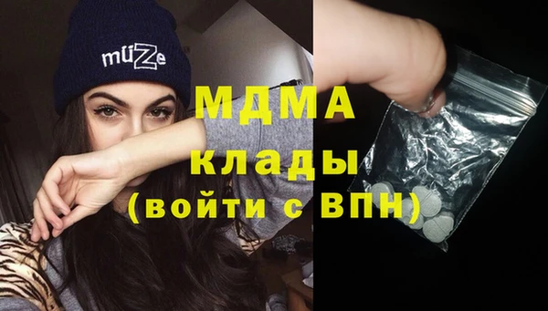 шишки Тында