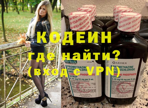 шишки Тында