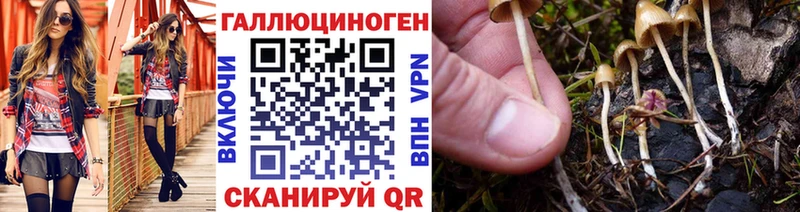 Галлюциногенные грибы GOLDEN TEACHER  Химки 