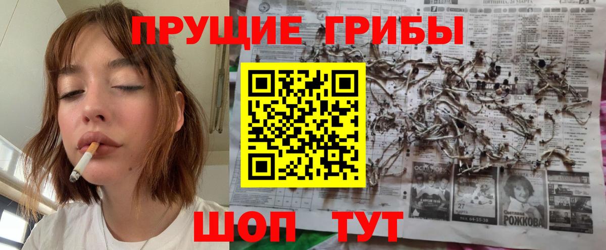 Псилоцибиновые грибы прущие грибы  закладки  Химки  Вход с VPN 